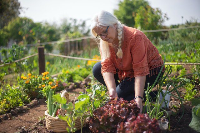 survival grow your own food